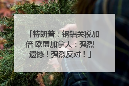 特朗普：钢铝关税加倍 欧盟加拿大：强烈遗憾！强烈反对！