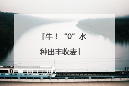 牛！“0”水种出丰收麦