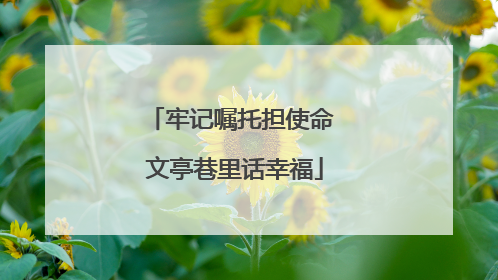 牢记嘱托担使命 文亭巷里话幸福