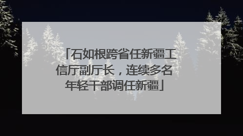 石如根跨省任新疆工信厅副厅长，连续多名年轻干部调任新疆