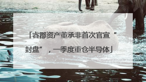 睿郡资产董承非首次官宣“封盘”，一季度重仓半导体