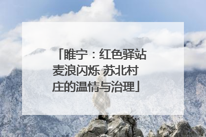 睢宁：红色驿站麦浪闪烁 苏北村庄的温情与治理