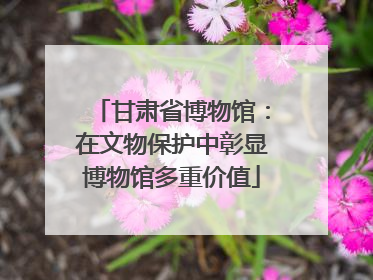 甘肃省博物馆：在文物保护中彰显博物馆多重价值
