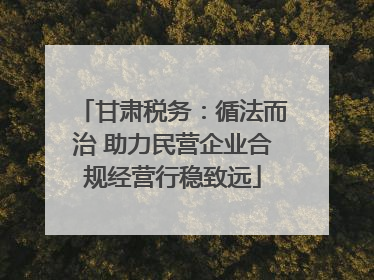 甘肃税务：循法而治 助力民营企业合规经营行稳致远