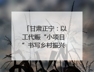 甘肃正宁：以工代赈“小项目”书写乡村振兴“大文章”