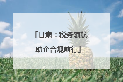 甘肃：税务领航 助企合规前行