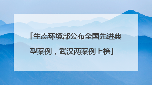 生态环境部公布全国先进典型案例，武汉两案例上榜