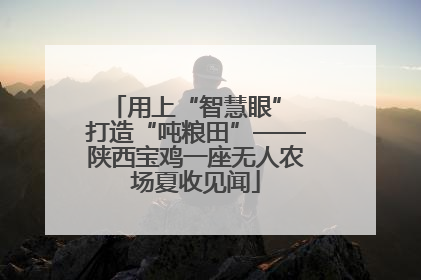 用上“智慧眼” 打造“吨粮田”——陕西宝鸡一座无人农场夏收见闻