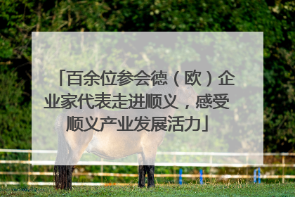 百余位参会德（欧）企业家代表走进顺义，感受顺义产业发展活力