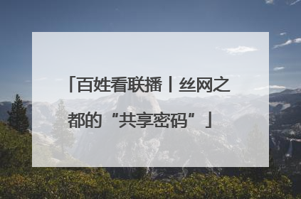 百姓看联播丨丝网之都的“共享密码”