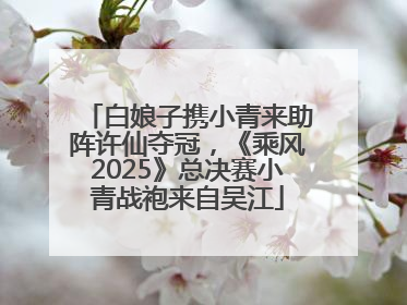 白娘子携小青来助阵许仙夺冠，《乘风2025》总决赛小青战袍来自吴江