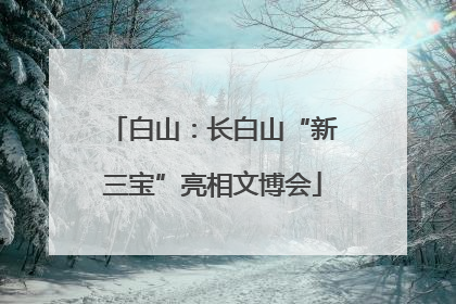 白山：长白山“新三宝”亮相文博会
