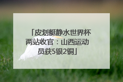 皮划艇静水世界杯两站收官：山西运动员获5银2铜