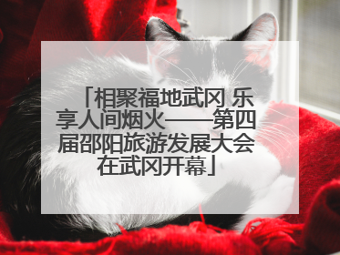 相聚福地武冈 乐享人间烟火——第四届邵阳旅游发展大会在武冈开幕