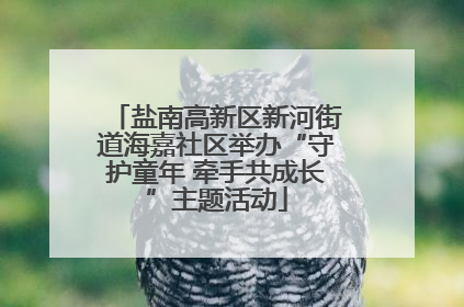 盐南高新区新河街道海嘉社区举办“守护童年 牵手共成长”主题活动