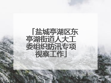 盐城亭湖区东亭湖街道人大工委组织防汛专项视察工作