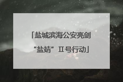 盐城滨海公安亮剑“盐靖”Ⅱ号行动