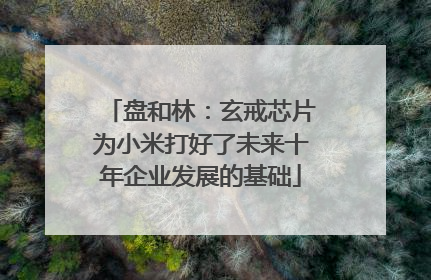 盘和林：玄戒芯片为小米打好了未来十年企业发展的基础