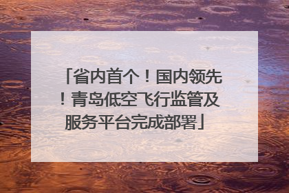 省内首个！国内领先！青岛低空飞行监管及服务平台完成部署