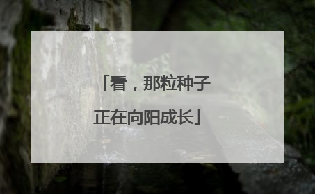 看，那粒种子正在向阳成长