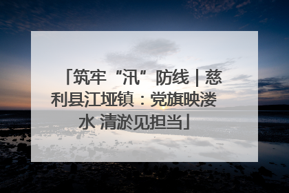 筑牢“汛”防线｜慈利县江垭镇：党旗映溇水 清淤见担当