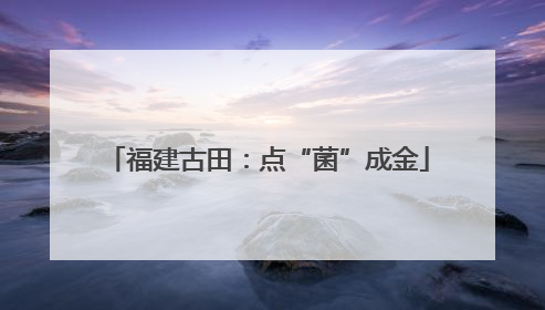 福建古田：点“菌”成金