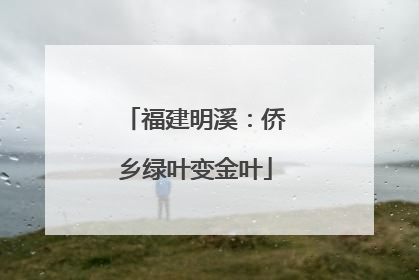 福建明溪：侨乡绿叶变金叶