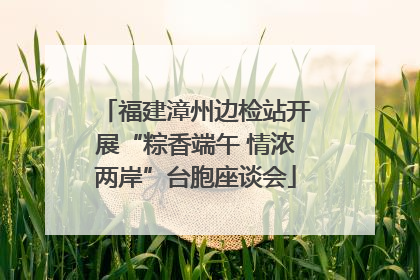 福建漳州边检站开展“粽香端午 情浓两岸”台胞座谈会