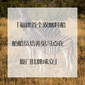 福建首个双燃料船舶船员培养见习点在厦门挂牌成立
