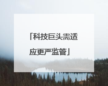 科技巨头需适应更严监管