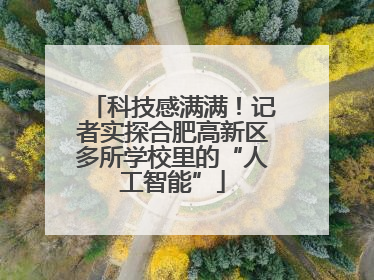 科技感满满！记者实探合肥高新区多所学校里的“人工智能”