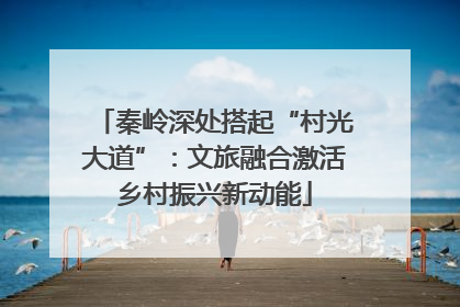 秦岭深处搭起“村光大道”：文旅融合激活乡村振兴新动能