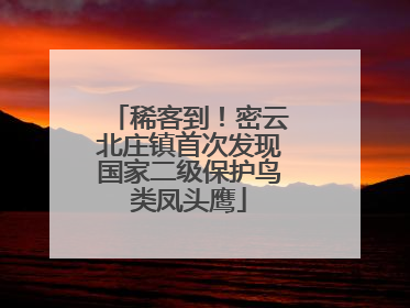 稀客到！密云北庄镇首次发现国家二级保护鸟类凤头鹰