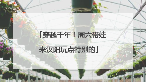 穿越千年！周六带娃来汉阳玩点特别的