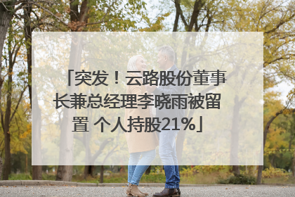 突发！云路股份董事长兼总经理李晓雨被留置 个人持股21%