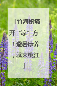 竹海秘境开“凉”方！避暑康养，就来桃江
