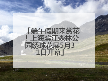 端午假期来赏花！上海滨江森林公园绣球花展5月31日开幕