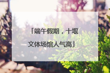 端午假期，十堰文体场馆人气高