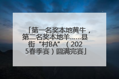 第一名奖本地黄牛，第二名奖本地羊……县街“村BA”（2025春季赛）圆满完赛