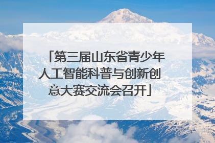 第三届山东省青少年人工智能科普与创新创意大赛交流会召开