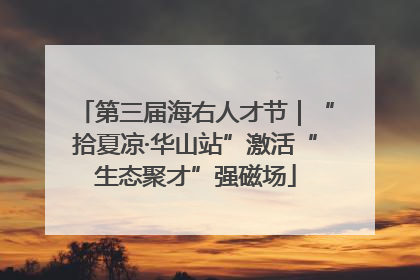 第三届海右人才节｜“拾夏凉·华山站”激活“生态聚才”强磁场