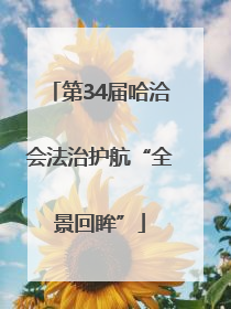 第34届哈洽会法治护航“全景回眸”