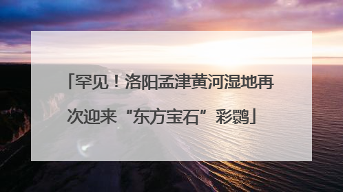 罕见！洛阳孟津黄河湿地再次迎来“东方宝石”彩鹮