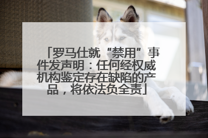 罗马仕就“禁用”事件发声明：任何经权威机构鉴定存在缺陷的产品，将依法负全责