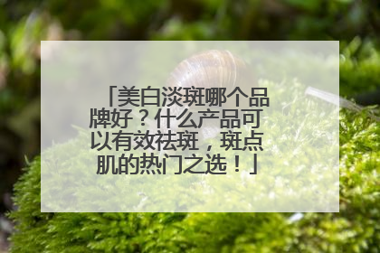 美白淡斑哪个品牌好？什么产品可以有效祛斑，斑点肌的热门之选！