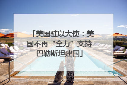 美国驻以大使：美国不再“全力”支持巴勒斯坦建国
