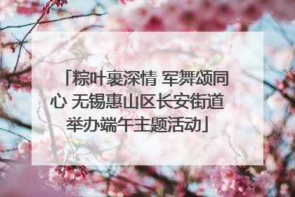 粽叶裹深情 军舞颂同心 无锡惠山区长安街道举办端午主题活动