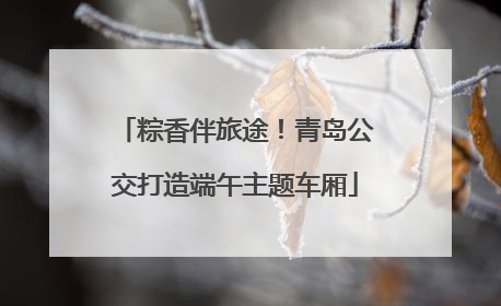 粽香伴旅途!青岛公交打造端午主题车厢