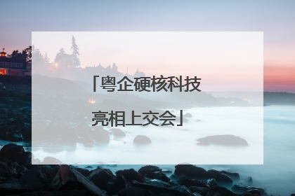 粤企硬核科技亮相上交会