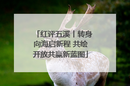 红评五溪丨转身向海启新程 共绘开放共赢新蓝图